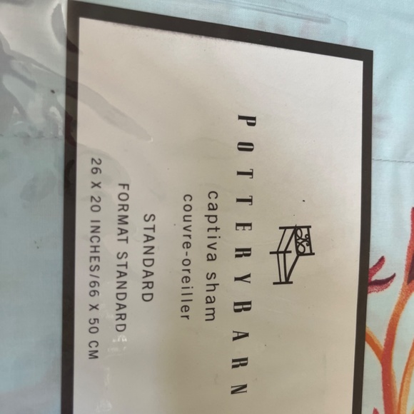 Pottery Barn Captive Standard Sham - Picture 5 of 5